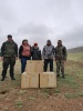 Потомки кош-агачских соколов балобанов вернулись на Алтай  